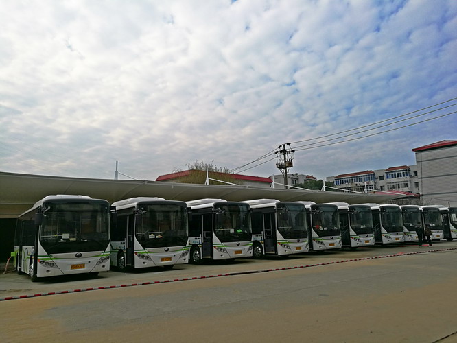 2025新澳门原料免费宝典