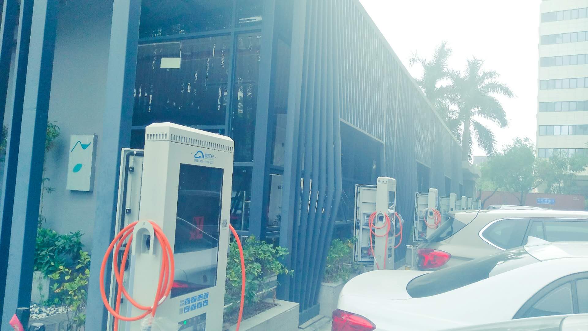 2025新澳门原料免费宝典