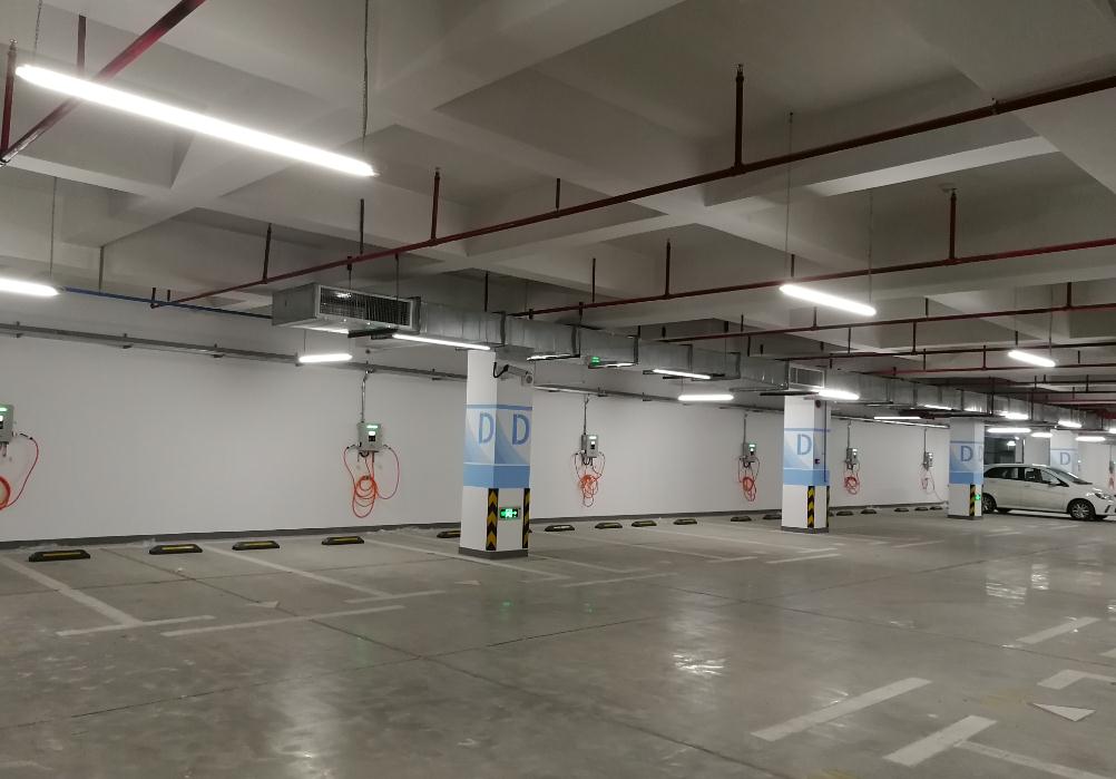 2025新澳门原料免费宝典