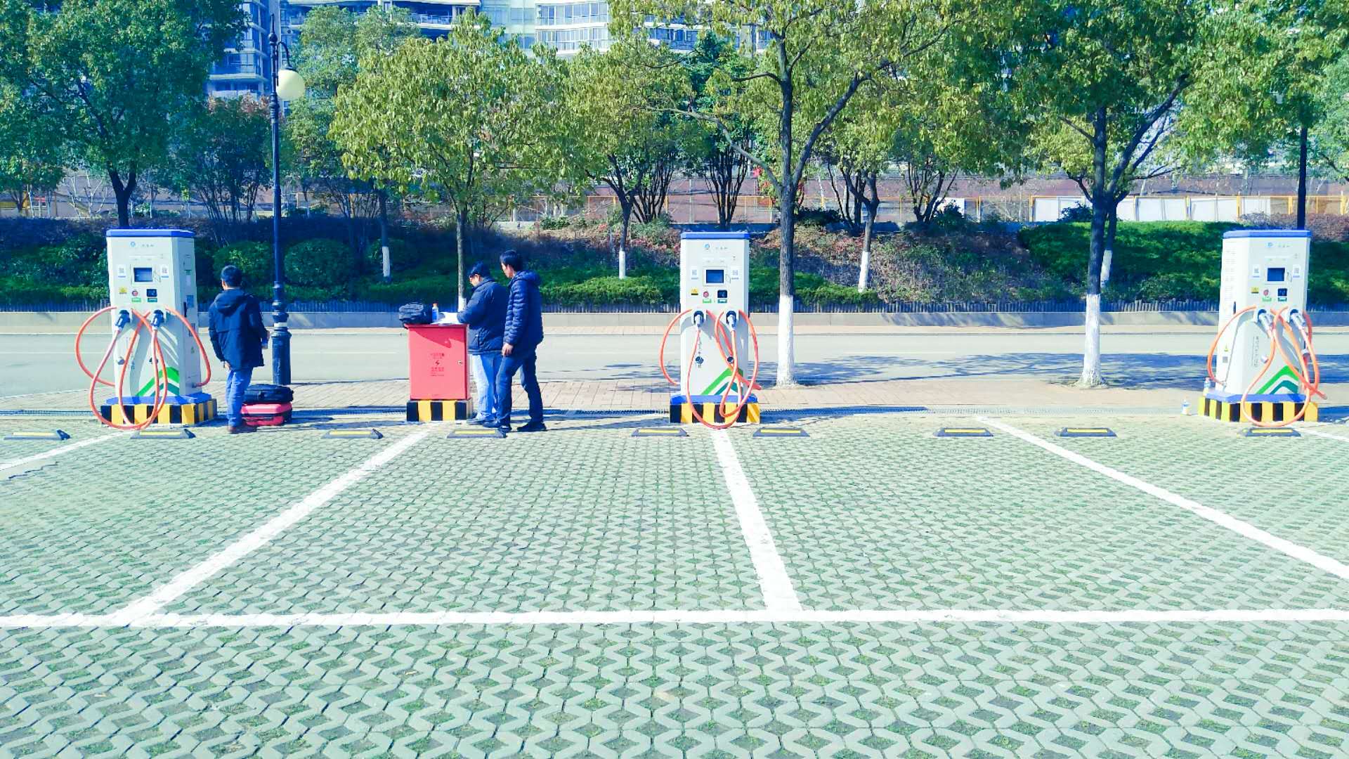 2025新澳门原料免费宝典