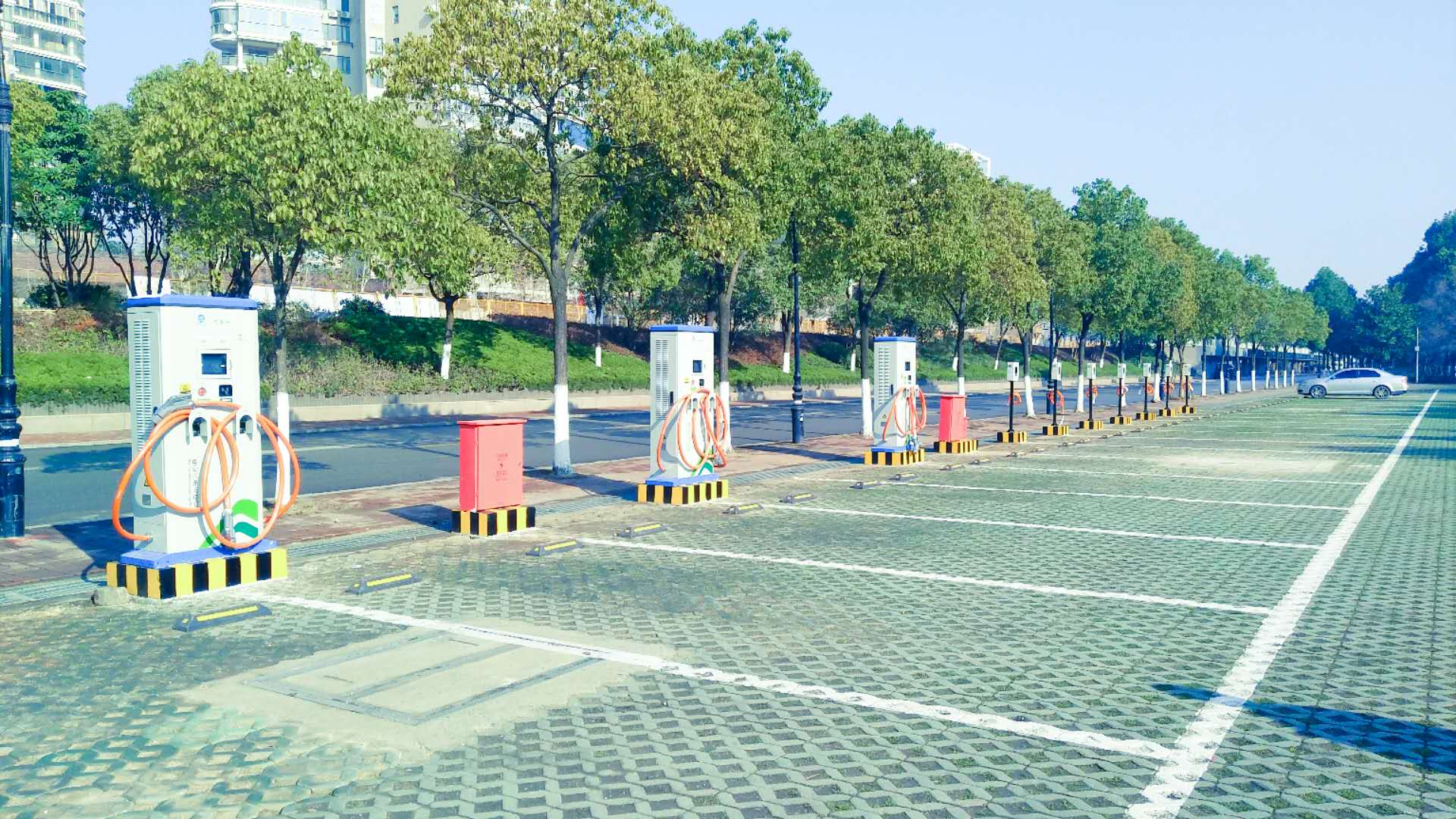2025新澳门原料免费宝典