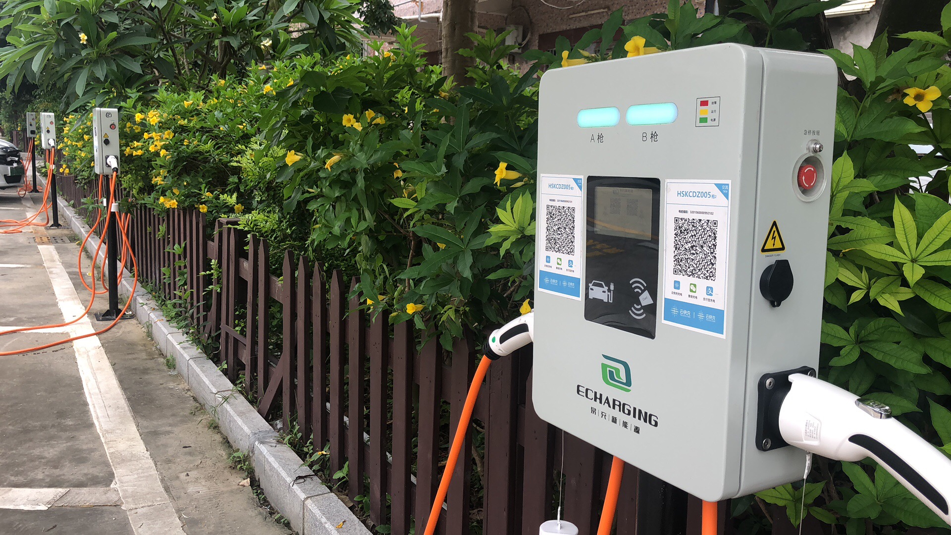 2025新澳门原料免费宝典