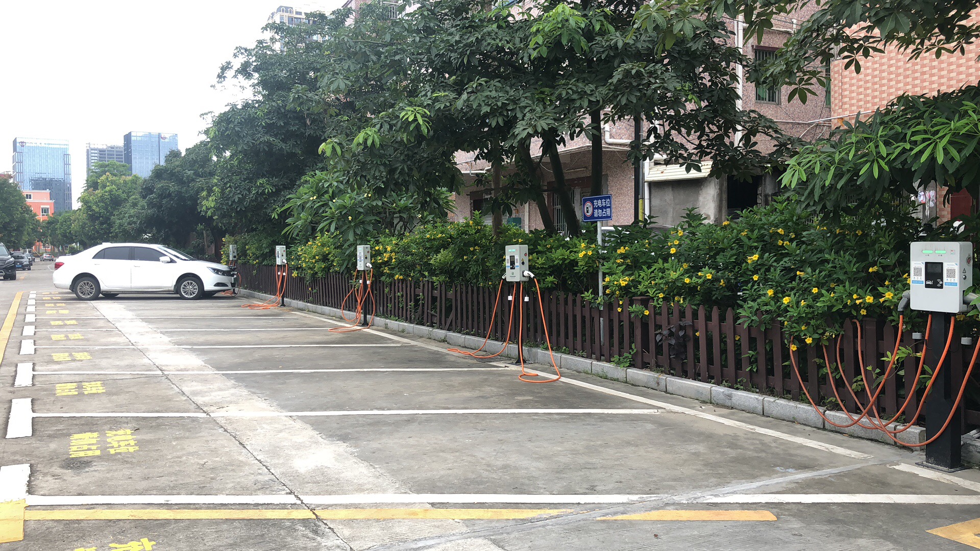 2025新澳门原料免费宝典