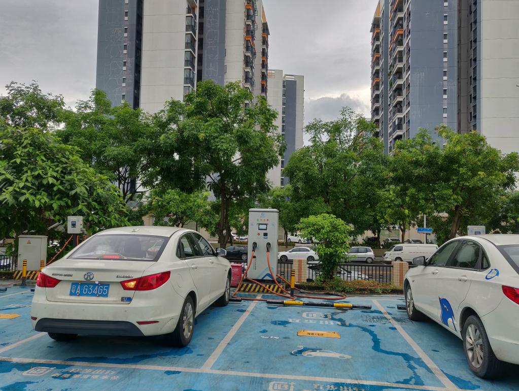 2025新澳门原料免费宝典