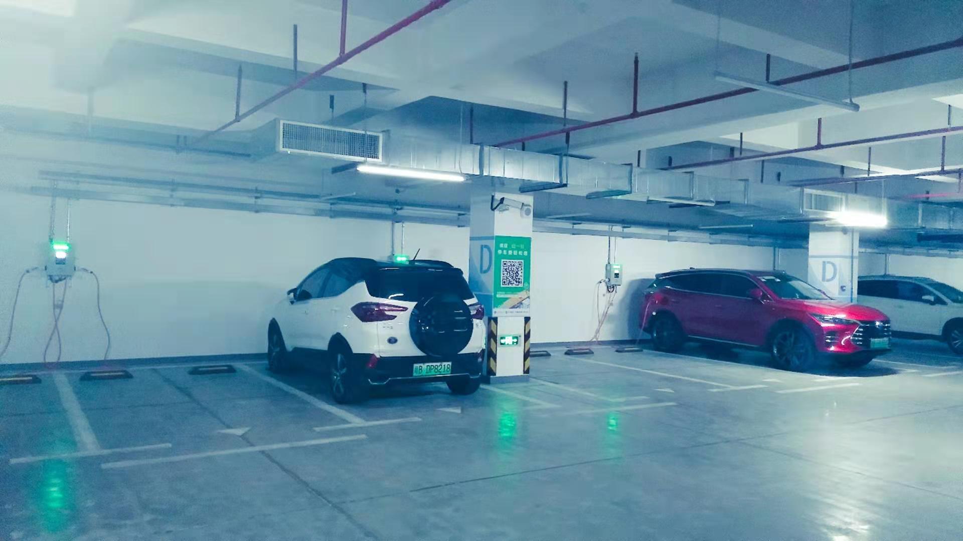 2025新澳门原料免费宝典