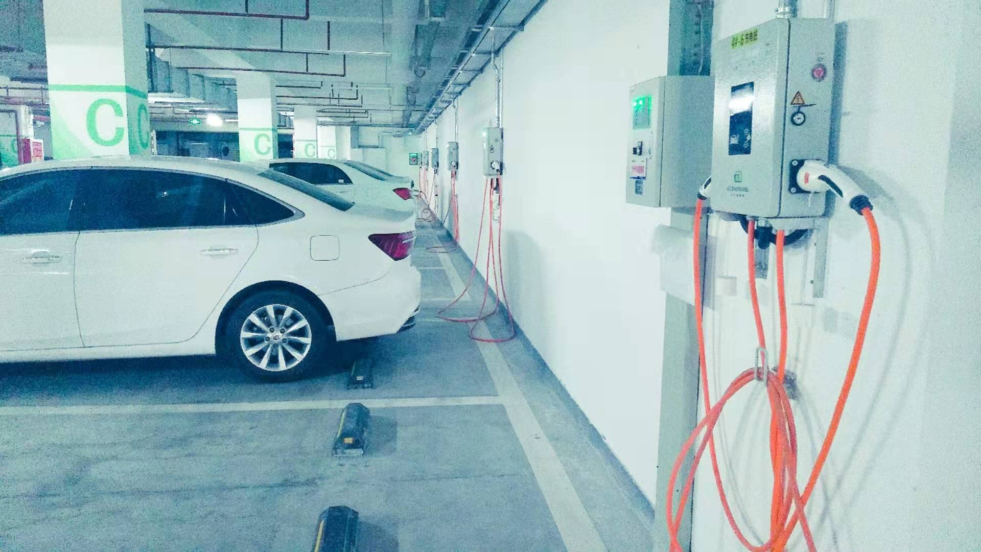 2025新澳门原料免费宝典