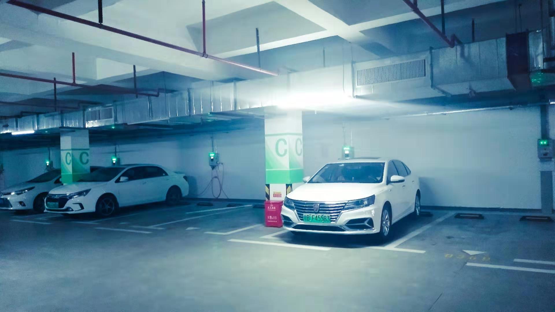 2025新澳门原料免费宝典