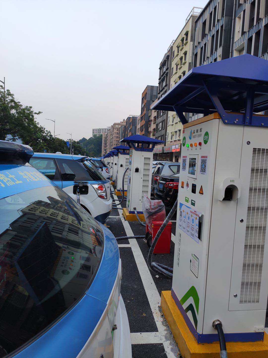 2025新澳门原料免费宝典