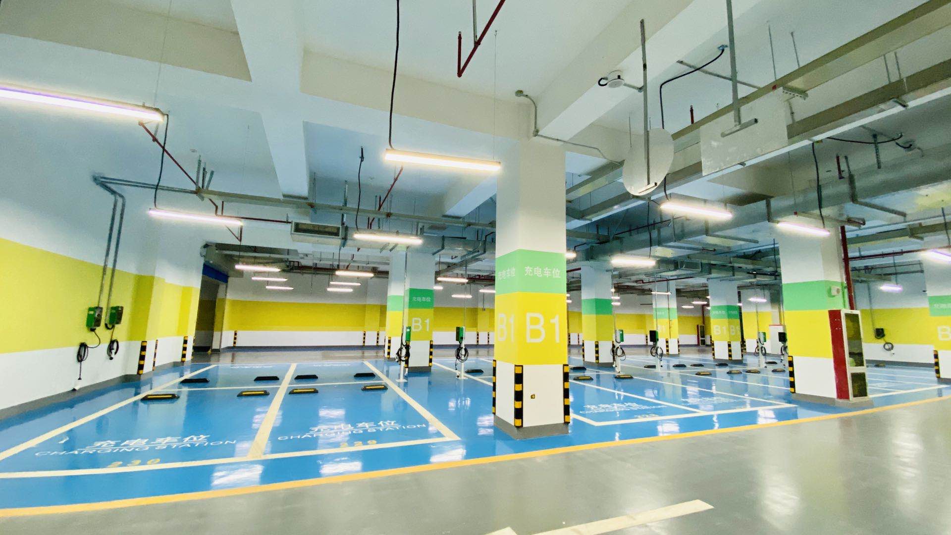 2025新澳门原料免费宝典