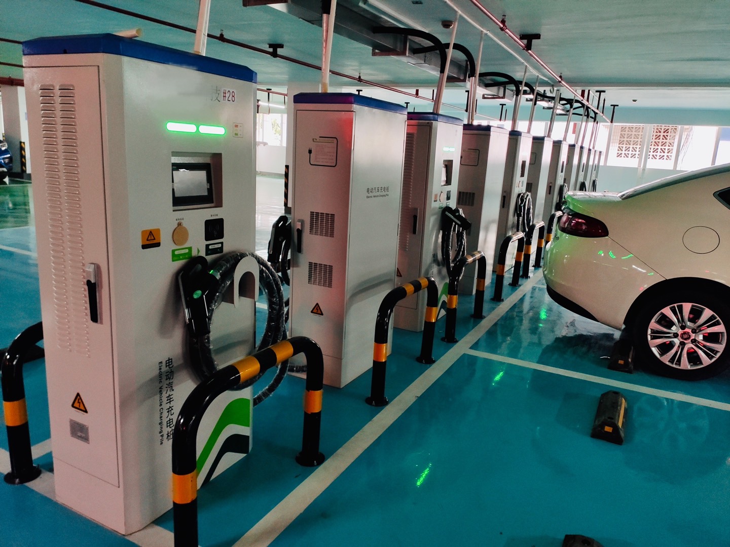 2025新澳门原料免费宝典