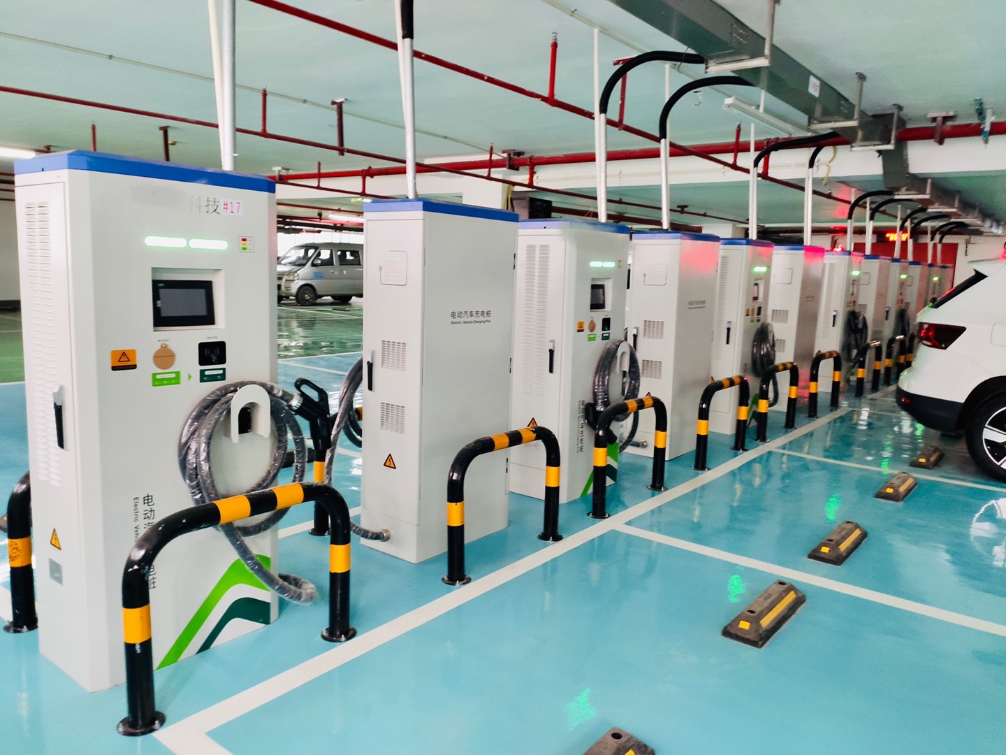 2025新澳门原料免费宝典