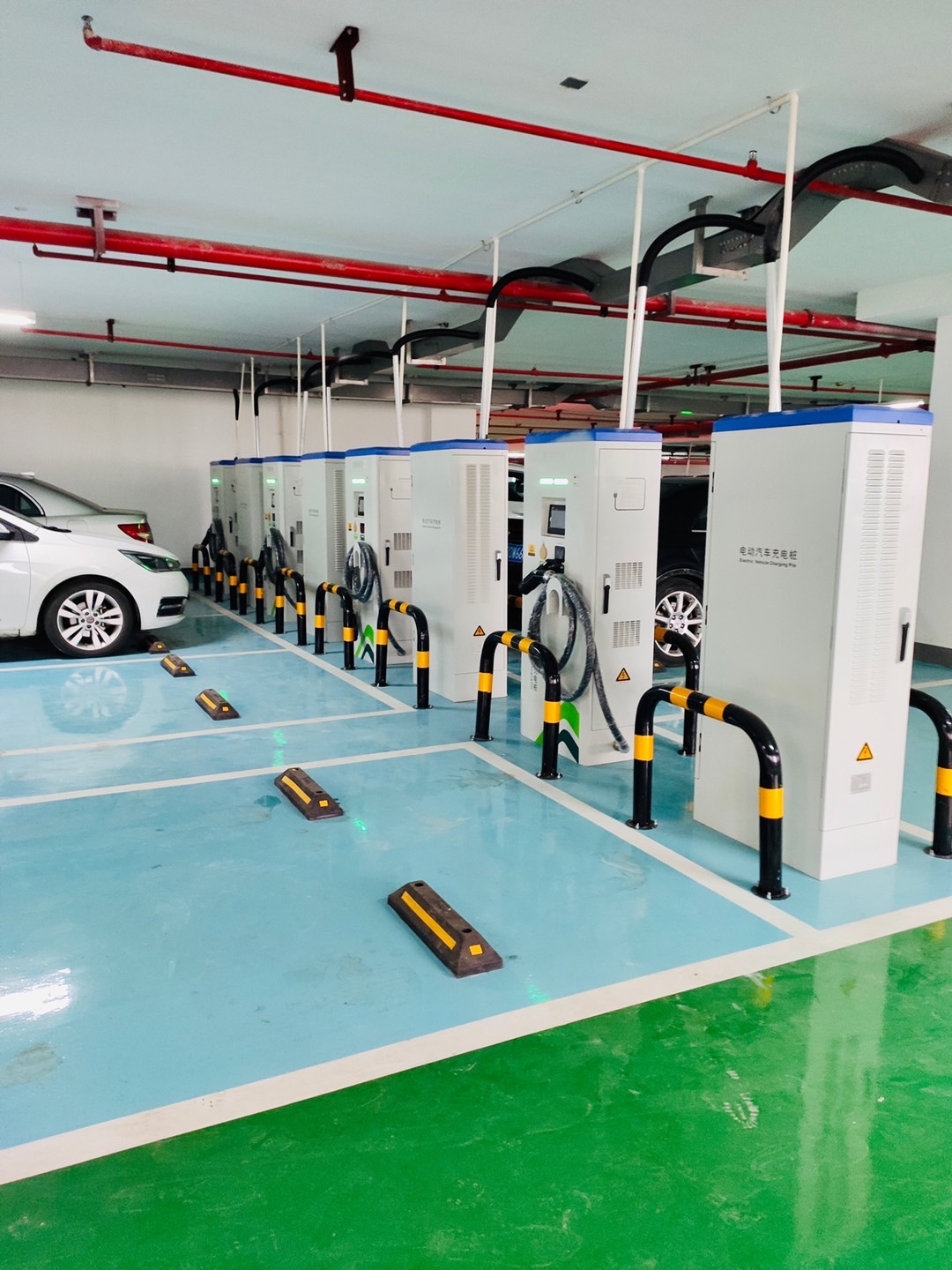 2025新澳门原料免费宝典
