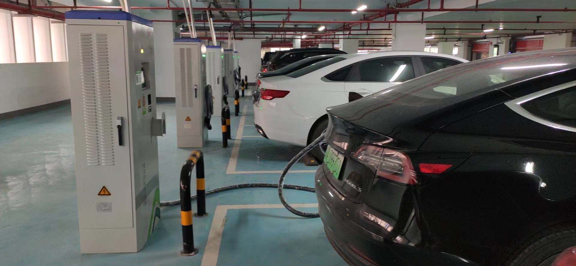2025新澳门原料免费宝典