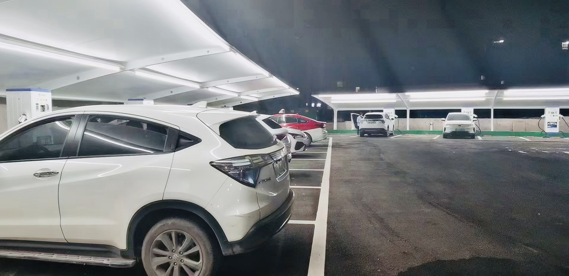 2025新澳门原料免费宝典
