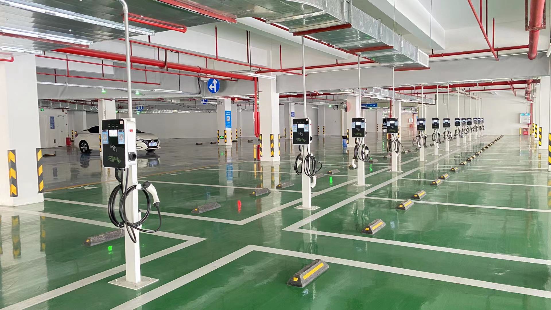 2025新澳门原料免费宝典