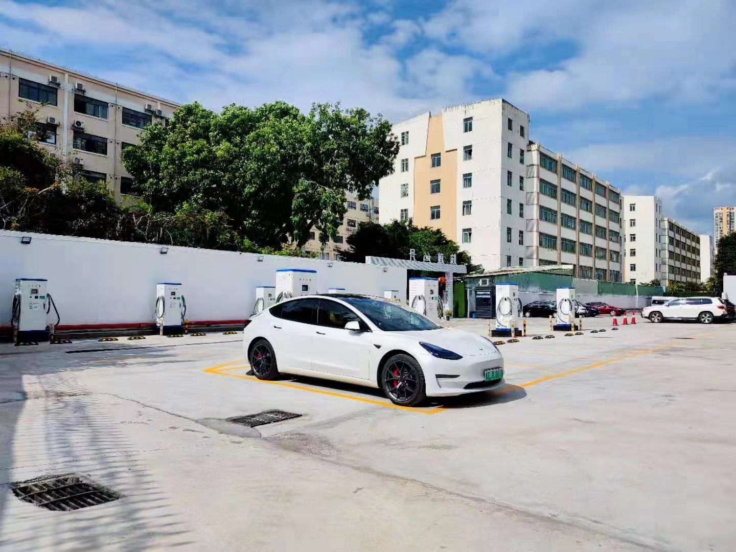 2025新澳门原料免费宝典