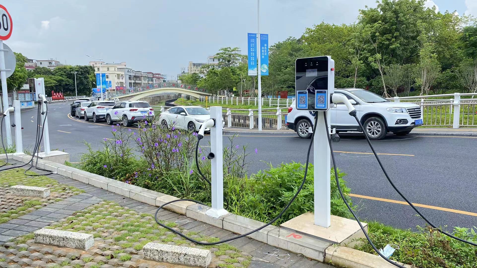 2025新澳门原料免费宝典