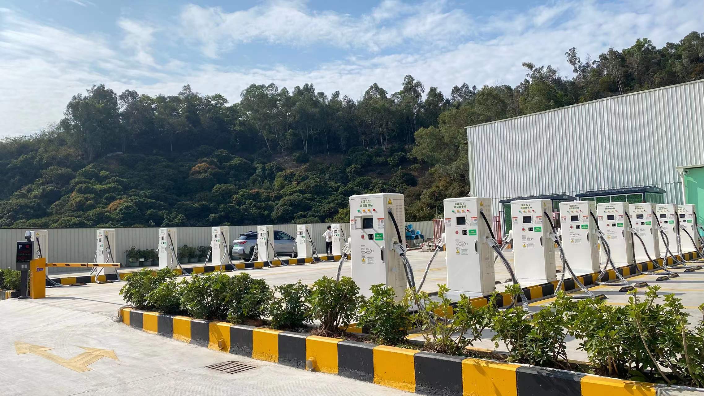 2025新澳门原料免费宝典