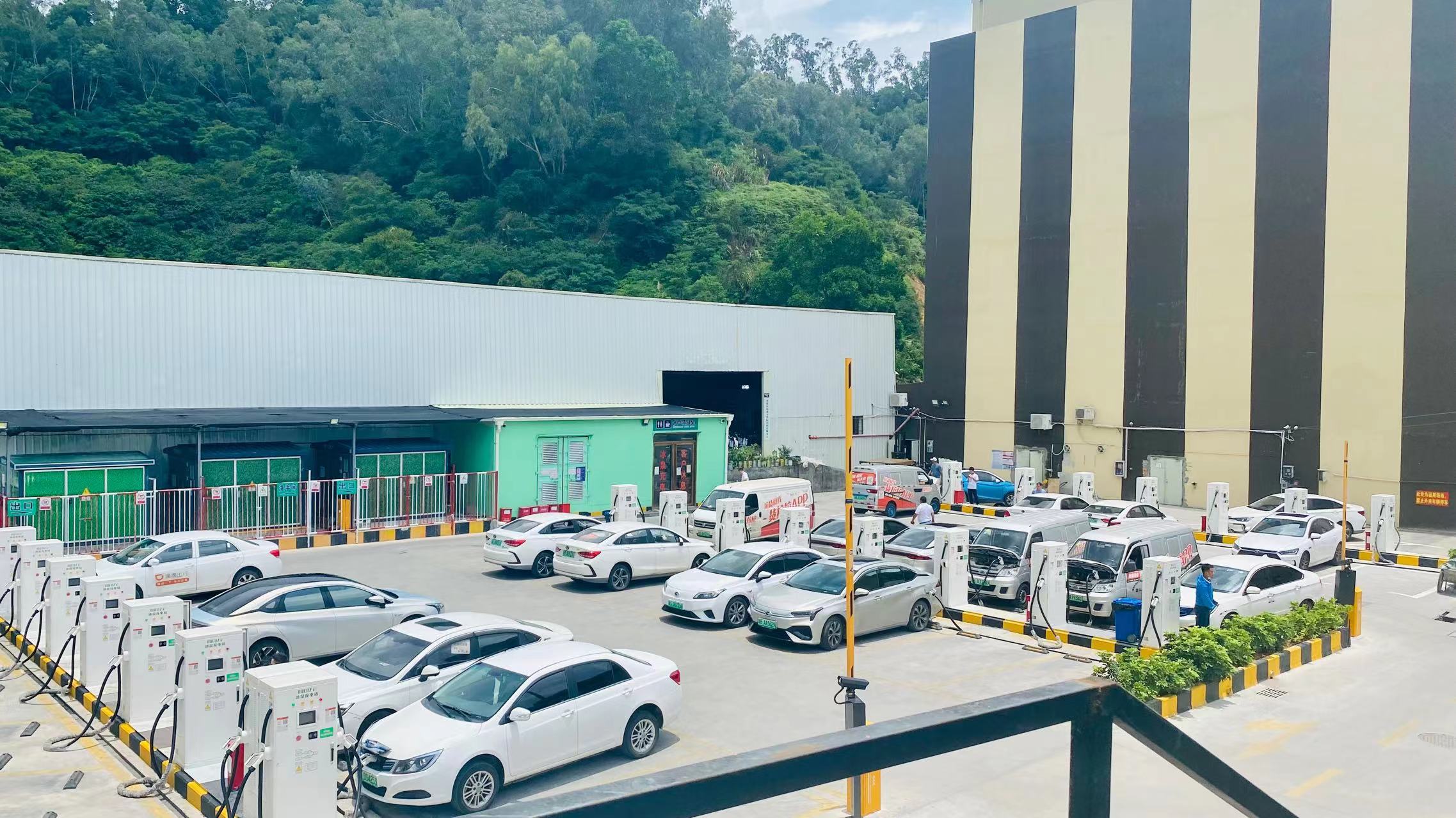 2025新澳门原料免费宝典