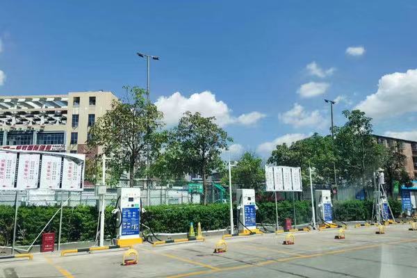 2025新澳门原料免费宝典