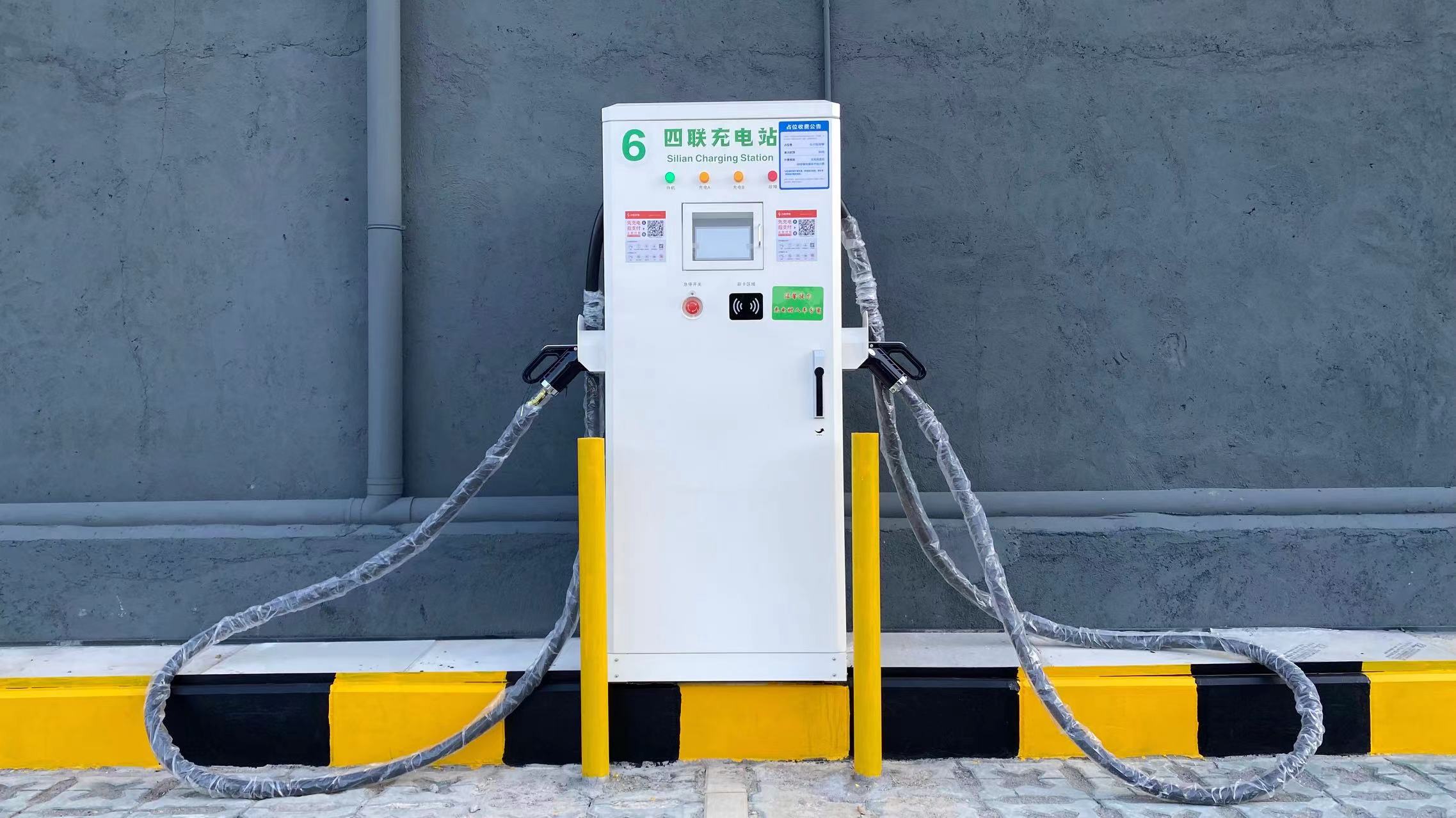 2025新澳门原料免费宝典