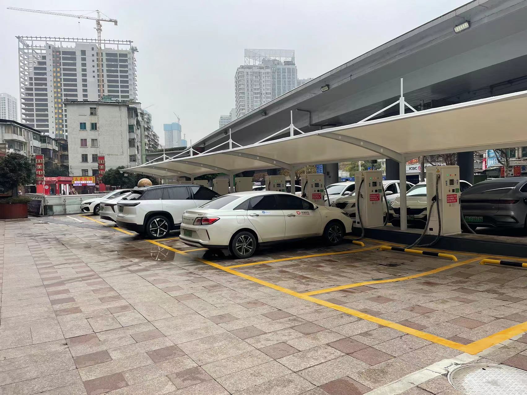2025新澳门原料免费宝典