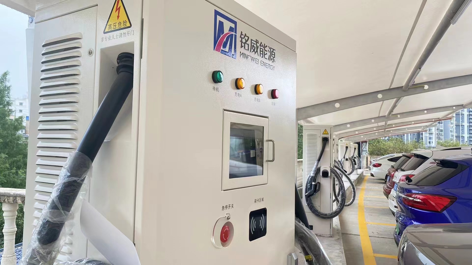 2025新澳门原料免费宝典