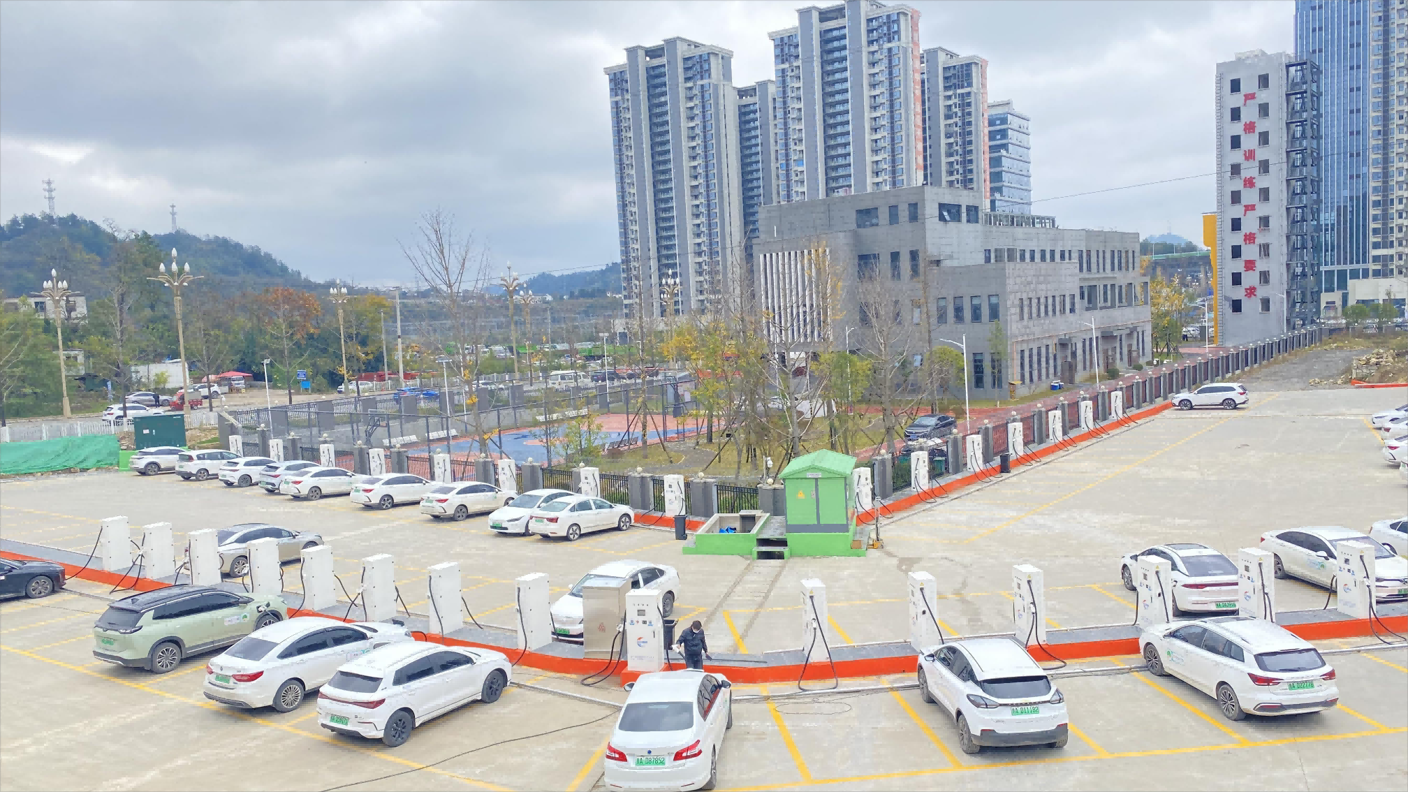 2025新澳门原料免费宝典