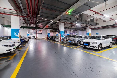 2025新澳门原料免费宝典