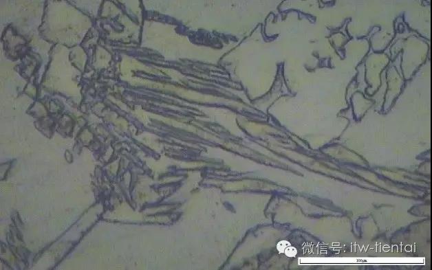 2025新澳门原料免费宝典