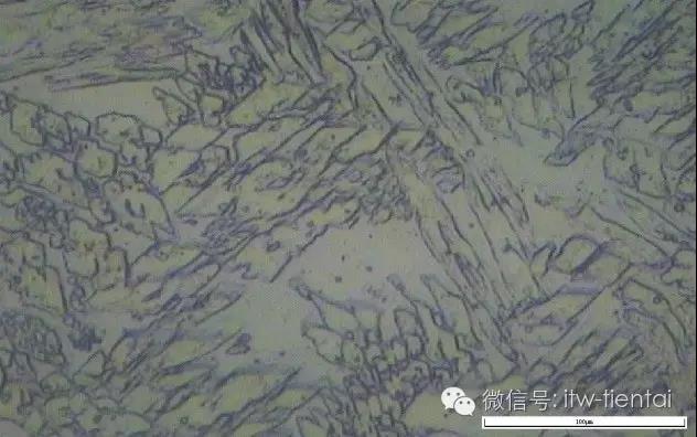 2025新澳门原料免费宝典