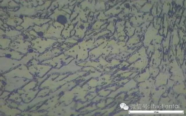 2025新澳门原料免费宝典