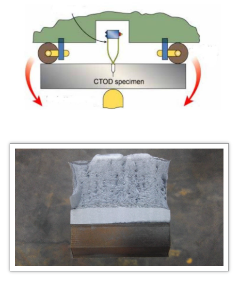 2025新澳门原料免费宝典
